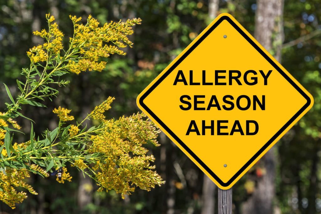 Road sign that says allergy season ahead
